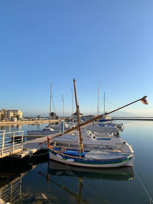 T2 Neuf + Bateau / Piscine Super Infrastructures Daire Le Barcarès Dış mekan fotoğraf