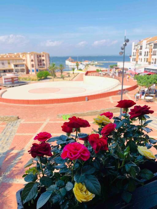 T2 Neuf + Bateau / Piscine Super Infrastructures Daire Le Barcarès Dış mekan fotoğraf